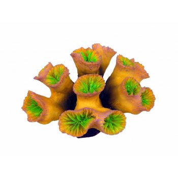 HAQUOSS EUPHILLIA 2 - 12,3x9,8x6,7h cm